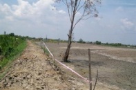 KCN - Cầu cảng Phước Đông: "Đắp chiếu” thành “đắp bùn”