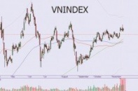 Sức nóng của dòng tiền