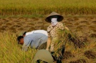CPI cả năm 2013 dự báo chỉ tăng 6,1-6,2%