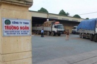 Vì sao Trường Ngân qua mặt 7 nhà băng rồi vỡ nợ?