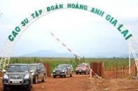 4 cổ phiếu cần quan tâm ngày 18/12