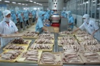 Trên 310 triệu USD vốn FDI đầu tư vào thủy sản