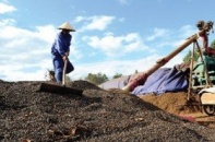 GDP năm 2013 tăng 5,42%, kinh tế có dấu hiệu phục hồi