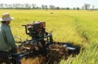 FDI nông nghiệp ngày càng teo tóp