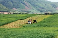 Trụ đỡ nông nghiệp suy yếu: Không thể xem thường