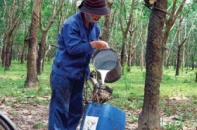 5 cổ phiếu cần quan tâm ngày 20/1