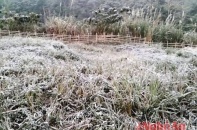 Nghệ An bất ngờ có tuyết
