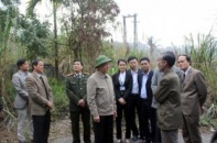 Quảng Ninh lên kế hoạch chống "than tặc" dịp Tết