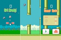 10 điểm khiến người chơi Flappy Bird "đau" mà vẫn "khoái"