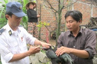 Khẩn cấp ứng phó  dịch cúm gia cầm