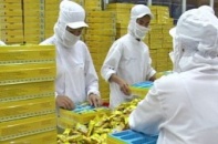FAST500 tăng trưởng thấp nhất trong 4 năm qua
