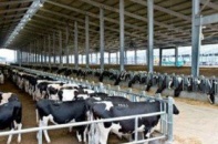 ILDEX Việt Nam 2014: Điểm hẹn đầu tư vào chăn nuôi