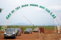 2 cổ phiếu cần quan tâm ngày 27/2