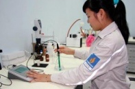 Các "con" nhà PVN nếm trái đắng dự án ethanol