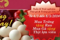 Trải nghiệm thịt gà & trứng gà hữu cơ ORFARM