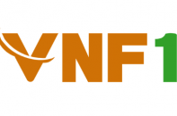 VNF1 không được lấn sân sang bất động sản, ngân hàng