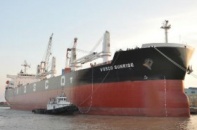 Thép Việt Ý bị loại khỏi bộ chỉ số HOSE - Index