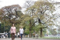 Thời tiết miền Bắc ấm dần, miền Nam nắng gay gắt