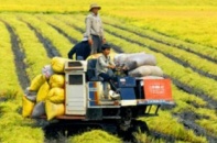 Bắt tay triển khai gói tín dụng khủng cho nông nghiệp