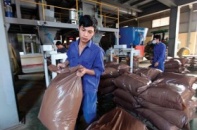 Doanh nghiệp xuất ngoại thuê đất trồng nguyên liệu