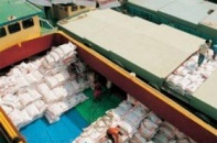 Thủ tướng đồng ý triển khai mua tạm trữ lúa gạo