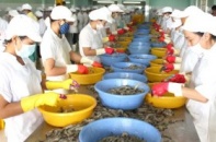 DOC lại áp thuế chống phá giá tôm Việt Nam