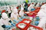 Xuất khẩu nông sản bứt phá trong quý I/2014