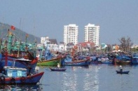 Bình Định hướng tới trung tâm chế biến thủy sản hàng đầu