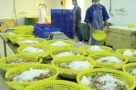 Thủy sản Thừa Thiên Huế: Lựa chọn bước đi vững chắc