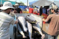 Nghiên cứu đề xuất gói hỗ trợ thủy sản