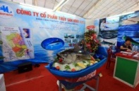 Phú Yên trước giờ khai mạc Festival Thủy sản 2014