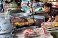 Cục An toàn thực phẩm: Thủy sản ở Hà Nội an toàn