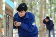 Hoàng Anh Gia Lai dồn sức cho nông nghiệp