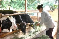 Đầu tư vào nông nghiệp được hỗ trợ tới 110 triệu đồng