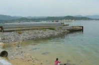 Chưa vội đưa Vân Phong thành cảng biển trung chuyển quốc tế