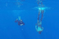 Tín hiệu thu được ở đáy biển là từ hộp đen máy bay