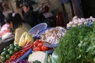 Cẩn trọng với Nấm không rõ nguồn gốc