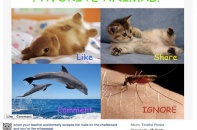 Facebook tuyên bố trừng phạt những trang câu Like