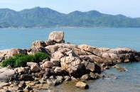 Khánh Hòa: Cứu sống du khách người Nga bị cá tấn công khi đang tắm