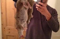 "Siêu chuột" ở Anh có ăn thịt người?