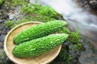 8 thực phẩm vị đắng tốt cho sức khỏe