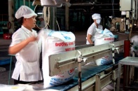 Đường Biên Hòa - Tây Ninh xả thải chưa xử lý ra sông Vàm Cỏ Đông