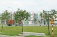 Chết cóng ở vùng "đất nóng" Bình Dương