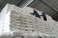 Thị trường gạo thế giới 2014: Sản lượng và dự trữ tăng