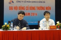 Someco Sông Đà tìm đối tác chuyển nhượng dự án