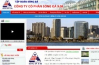 Kiểm toán từ chối cho ý kiến, S96 bị hủy niêm yết