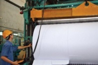 Sojitz gặp khó với dự án bột giấy triệu USD
