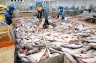 4 cổ phiếu cần quan tâm ngày 29/5