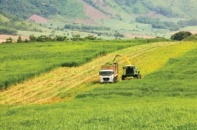 Đưa công nghệ cao vào nông nghiệp: Làm nông bằng trí