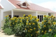 Nhà máy cà phê lớn nhất Lào thích lao động Việt